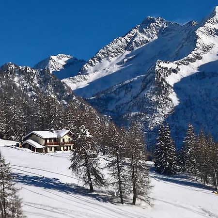 Le Coin Des Melezes - Nature & Trek - Camere In Baita Di Montagna Брюссон Экстерьер фото