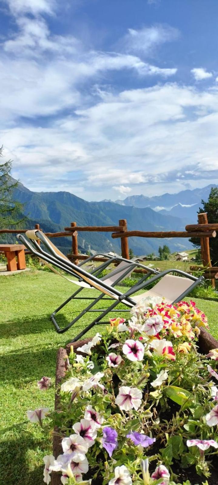 Le Coin Des Melezes - Nature & Trek - Camere In Baita Di Montagna Брюссон Экстерьер фото