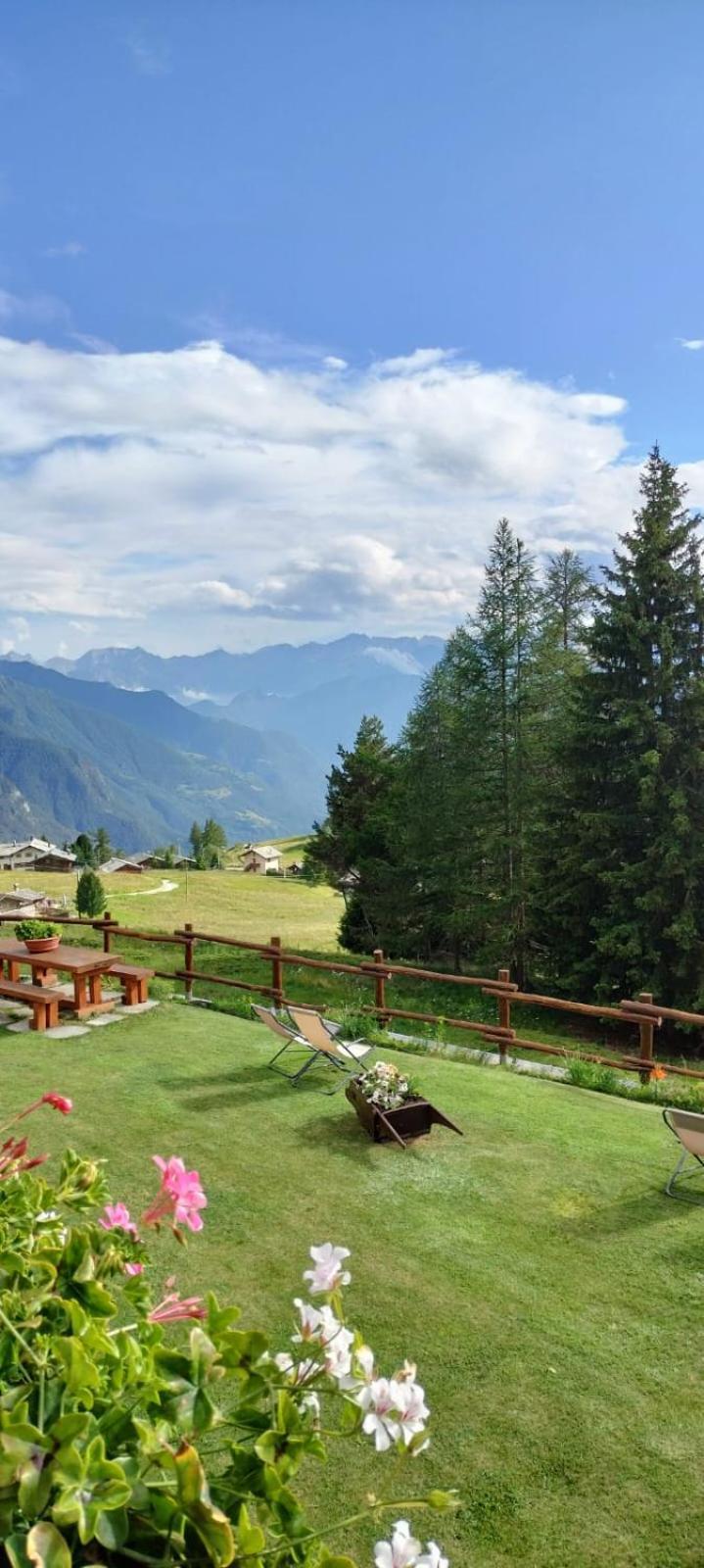 Le Coin Des Melezes - Nature & Trek - Camere In Baita Di Montagna Брюссон Экстерьер фото