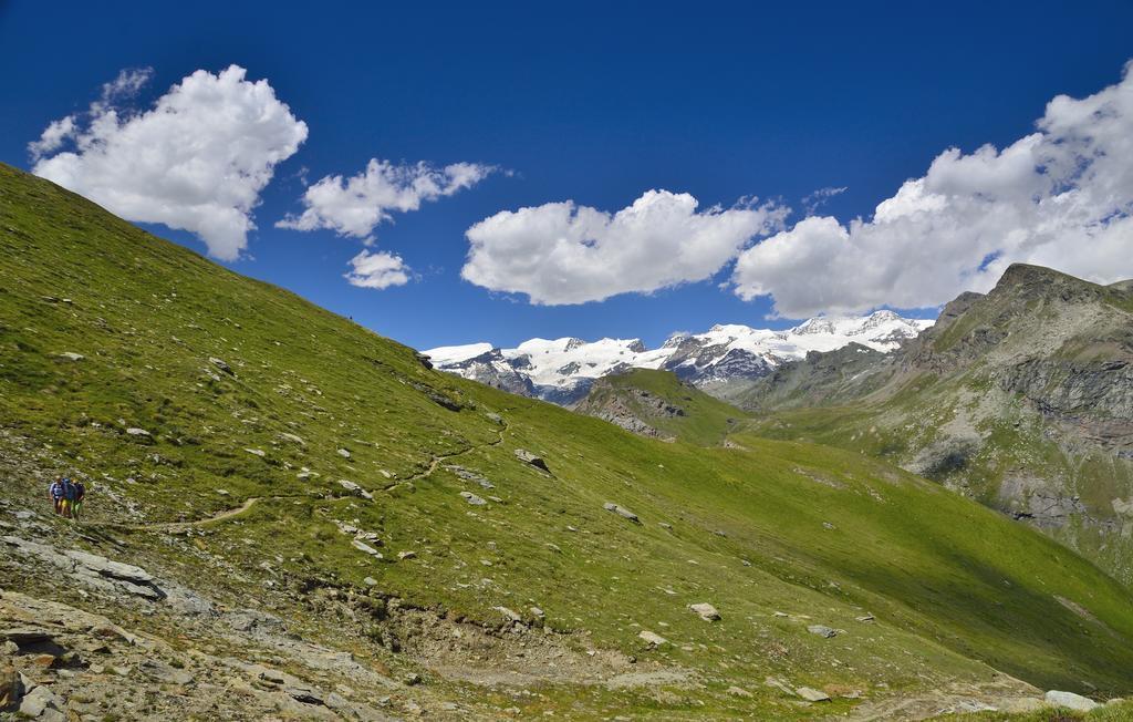 Le Coin Des Melezes - Nature & Trek - Camere In Baita Di Montagna Брюссон Экстерьер фото