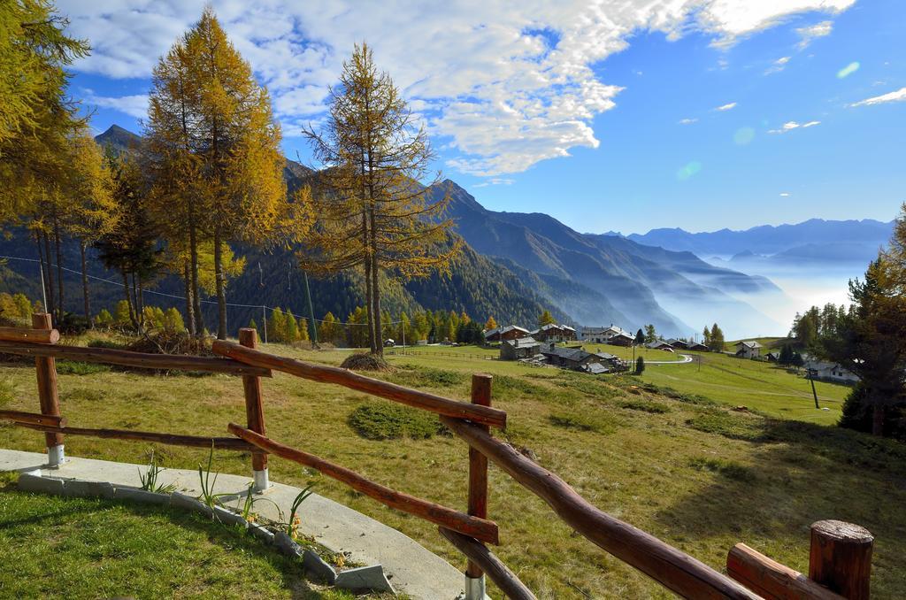 Le Coin Des Melezes - Nature & Trek - Camere In Baita Di Montagna Брюссон Экстерьер фото