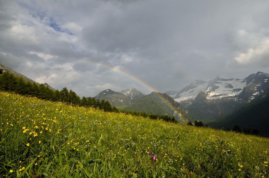 Le Coin Des Melezes - Nature & Trek - Camere In Baita Di Montagna Брюссон Экстерьер фото
