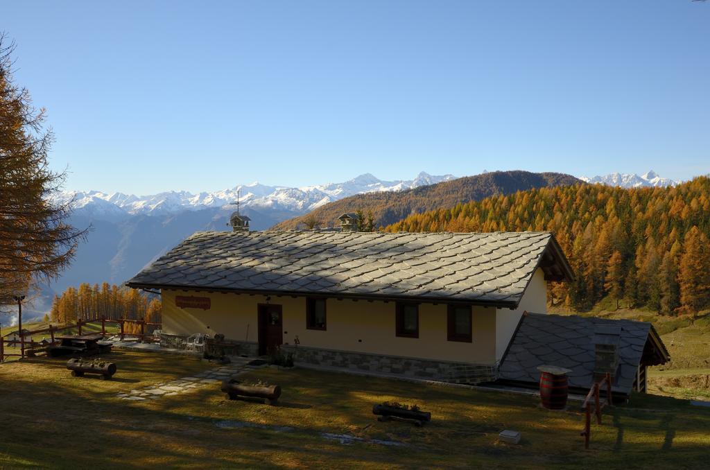 Le Coin Des Melezes - Nature & Trek - Camere In Baita Di Montagna Брюссон Экстерьер фото