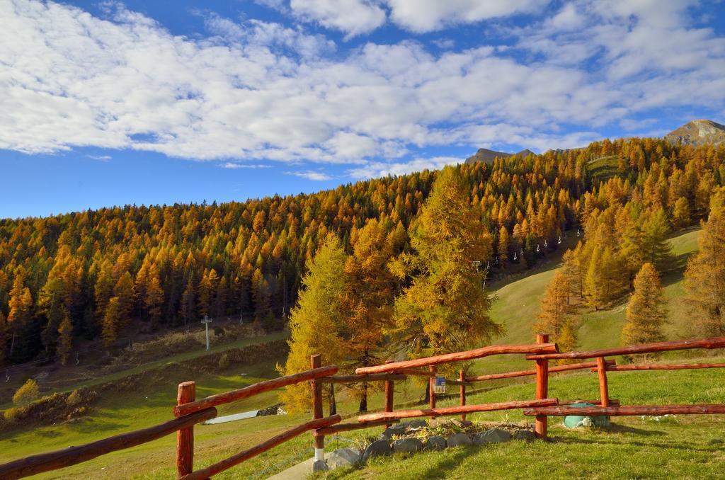 Le Coin Des Melezes - Nature & Trek - Camere In Baita Di Montagna Брюссон Экстерьер фото