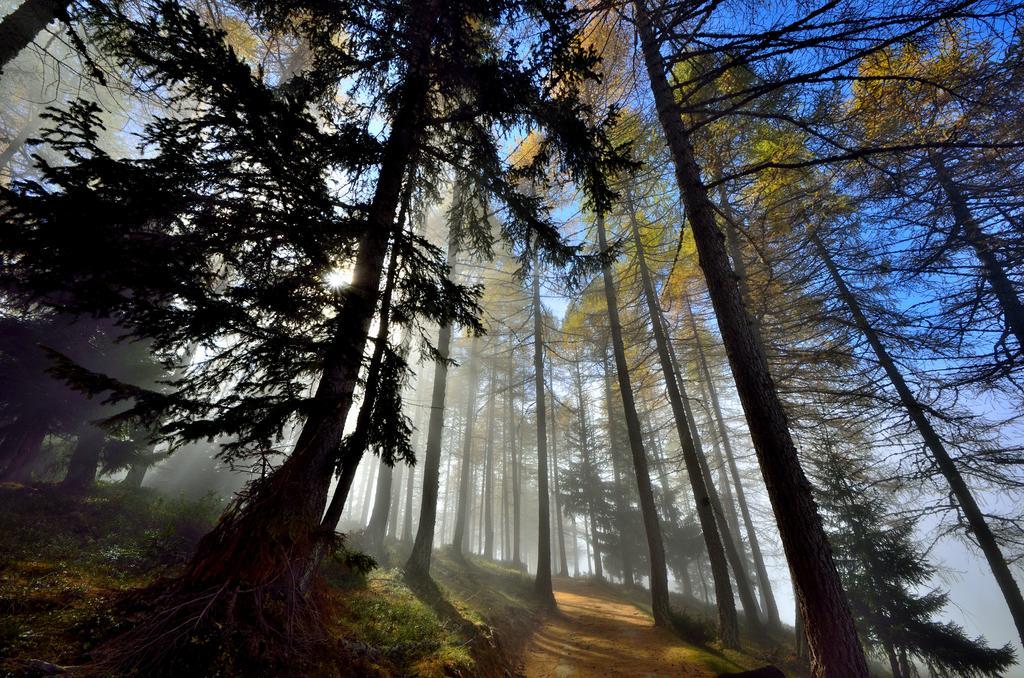 Le Coin Des Melezes - Nature & Trek - Camere In Baita Di Montagna Брюссон Экстерьер фото