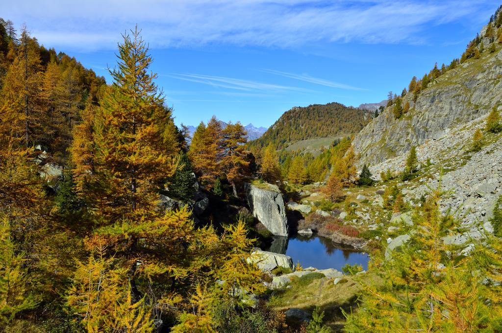 Le Coin Des Melezes - Nature & Trek - Camere In Baita Di Montagna Брюссон Экстерьер фото