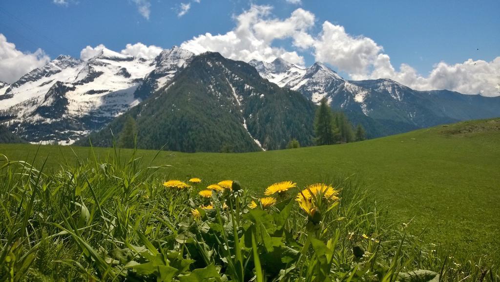 Le Coin Des Melezes - Nature & Trek - Camere In Baita Di Montagna Брюссон Экстерьер фото